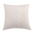 thumbnail image 2 of Velvet Embossed Double-Sided Pillow Cover | Soft Breathable Polyester Cushion Case | 15.7x15.7 in | Removable Washable | Durable Tight Stitching | Multiple Colors | 1 Piece, 2 of 6