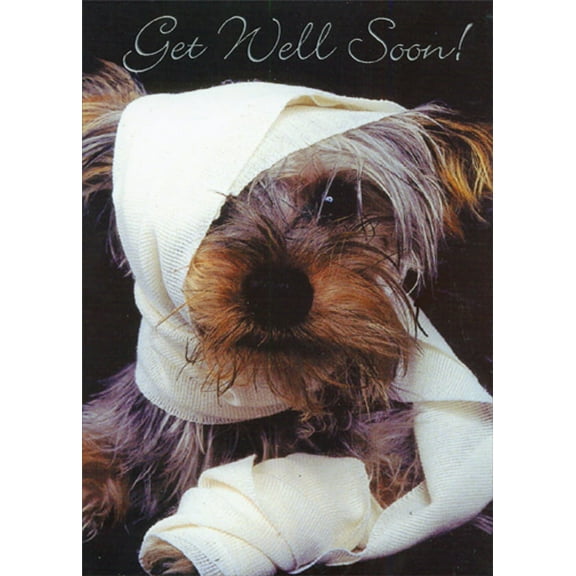 Designer Greetings Dog with Bandage on Head and Arm Get Well Card