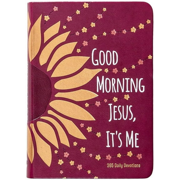 Good Morning Jesus It’s Me : 365 Daily Devotions (Hardcover)