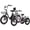 Black+Pink, variant on ESKUTE T300 & T300mini Electric Tricycles for Adults – 750W & 500W Motors, Fat Tire Folding 3-Wheel E-Bikes, Step-Thru, Blue & Black, UL2849