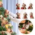 thumbnail image 4 of WXLCISI 2D Christmas Lion Pendant Decoration Christmas Tree Double Printed Acrylic Pendant Decoration Interesting Decoration, 4 of 4