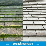 Wet & Forget Outdoor Moss, Mold, Mildew, and Algae Stain Remover Concentrate, 128 oz