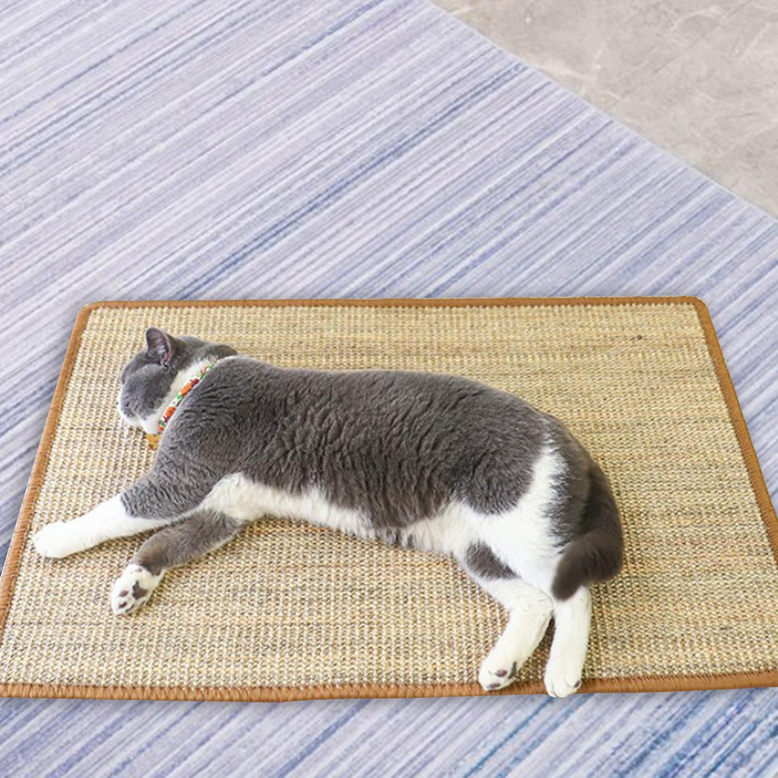 Cat Scratch Mat Sleeping Bed Cat Floor Scratching Pad for Sofa Couch Rug 50cmx80cm