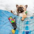 thumbnail image 3 of Rocae Prague Ratter Dog in Bathtub for Pet Blanket Dog Blanket Cat Blanket Soft Sleep for Small Medium Pet-Medium, 3 of 8