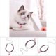 thumbnail image 3 of Coloque De Gato, 20-38 Cm De Longitud Ajustable De Nylon Para El Collar De Collar De Perros Con Cadena De Extensión Para Mascota Pequeña, 3 of 7