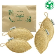 100% Natural Loofah Exfoliating Sponge (4 Pack) - Biodegradable Loofah Body Scrubber - Compostable Sponge