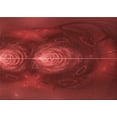 thumbnail image 1 of Ahgly Company Machine Washable Indoor Rectangle Transitional Cranberry Red Area Rugs, 6' x 9', 1 of 7