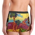 thumbnail image 5 of Fotbe Beautiful African Woman Men’s Total Support Pouch Boxer Briefs, X-Temp Cooling, Moisture-Wicking Underwear, Regular, Long-leg and Trunk-Medium, 5 of 9