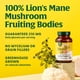 thumbnail image 4 of Suplemento MegaFood Superfood Mushroom Focus Support 60 cápsulas, 4 of 5