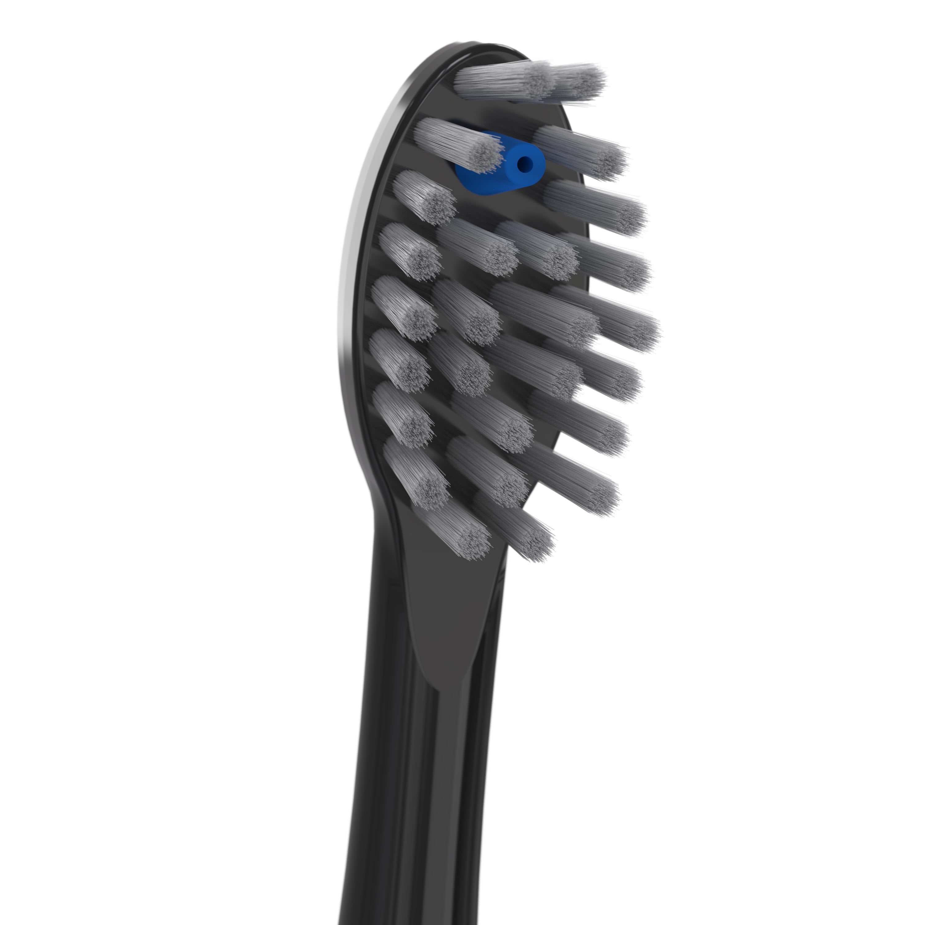 Waterpik Genuine Full Size Replacement Brush Heads for Sonic-Fusion Flossing Toothbrush SFFB-2EB, 2 Count Black