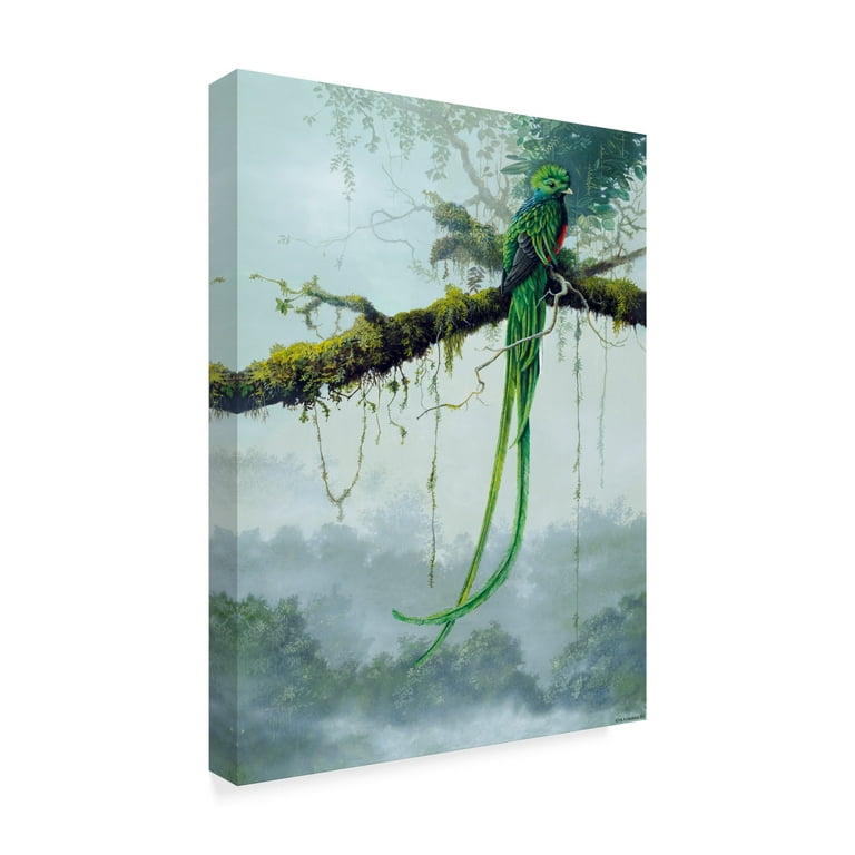 Trademark Fine Art 'Resplendent Quetzal' Canvas Art by Harro