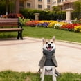 thumbnail image 4 of TIELUTT Autumn and Winter Coat British Gentleman Windbreaker Winter Cold Proof Pet Clothes Rack Small Pet Clothes for Small Dogs Pet Clothes Pet Clothes for Large Dogs Female Pet Clothes for Large Do, 4 of 6