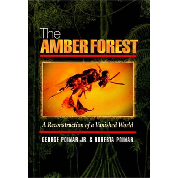Pre-Owned The Amber Forest: A Reconstruction of a Vanished World. (Paperback) 0691057281 9780691057286