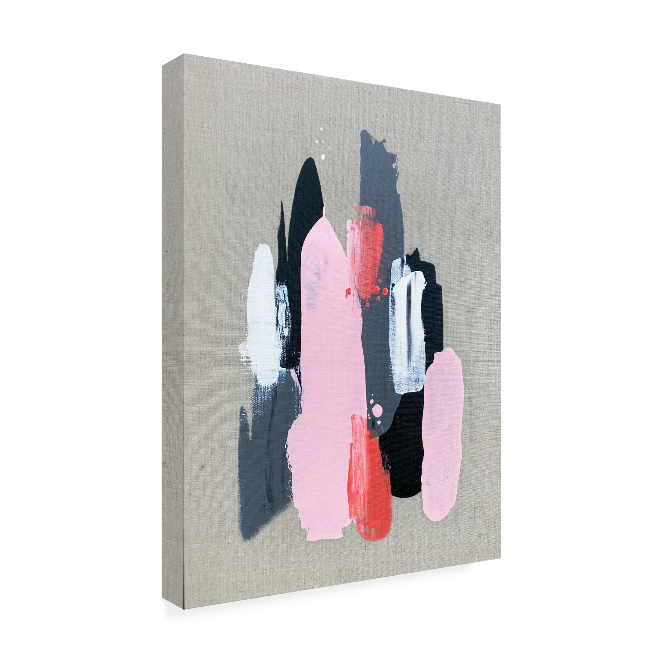 Trademark Fine Art Alyson Storms  Pink Black and Grey 1 Canvas Wall Art