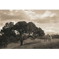 thumbnail image 2 of Dawson, Robert 14x11 White Modern Wood Framed Museum Art Print Titled - California Evening, 2 of 4