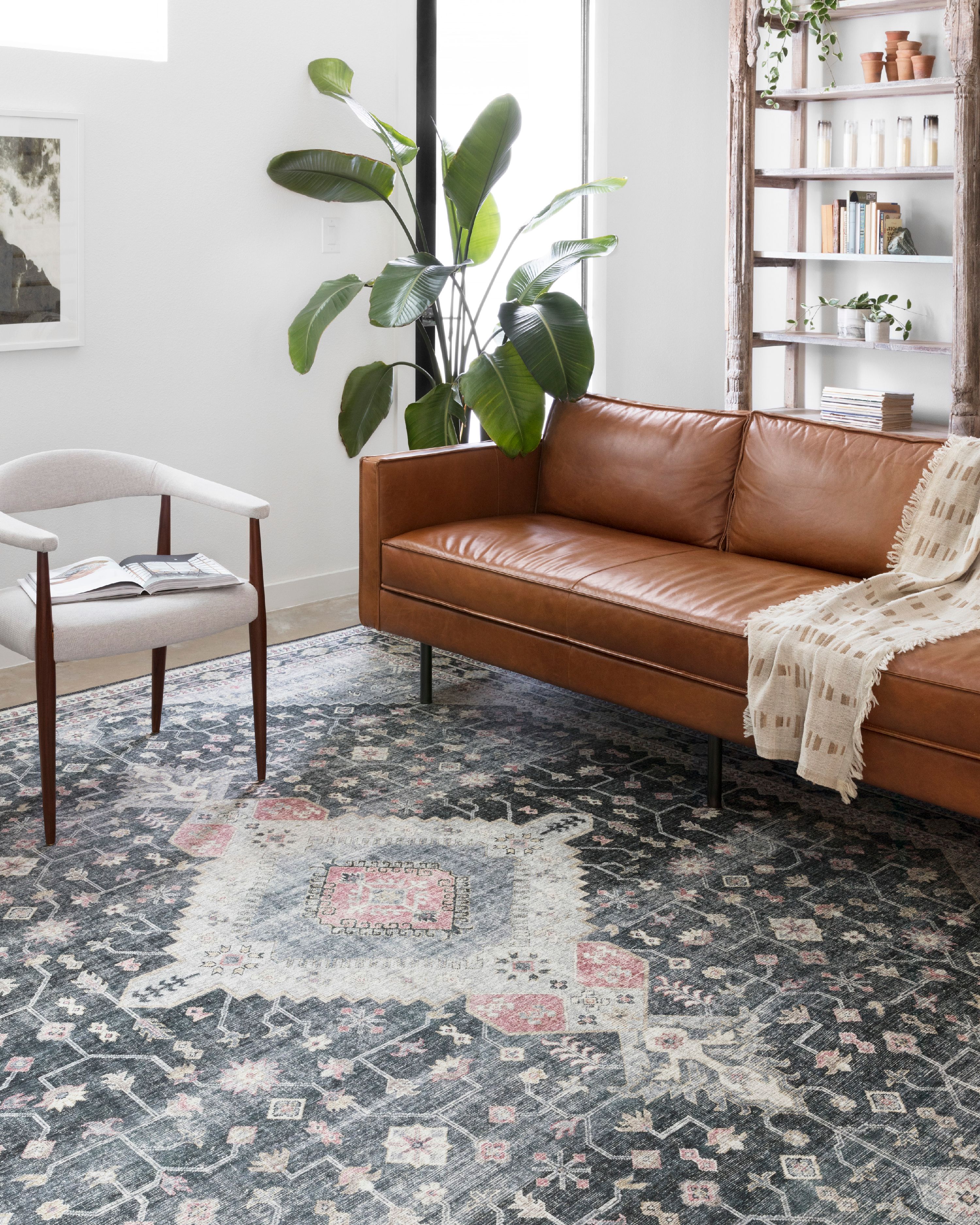 Loloi II Skye Oriental Charcoal / Multi Area Rug