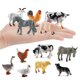 thumbnail image 4 of Cateissary Juego de 12 Uds. De animales, Mini figuritas de simulación, lavables, educación temprana, decoración de fiesta de aves de corral simulada, Decoración del hogar Cateissary HA038192-00, 4 of 6