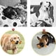 thumbnail image 4 of Juguete para rechinar los dientes de mascotas, juguete para masticar con forma de hueso para perros, juguete para masticar con forma de hueso, diseño a prueba de futuro, 4 of 8