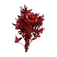 thumbnail image 2 of Ramo de flores secas Arreglos florales secos Decoración del hogar Ramo de tallos de plantas Rojo, 2 of 9
