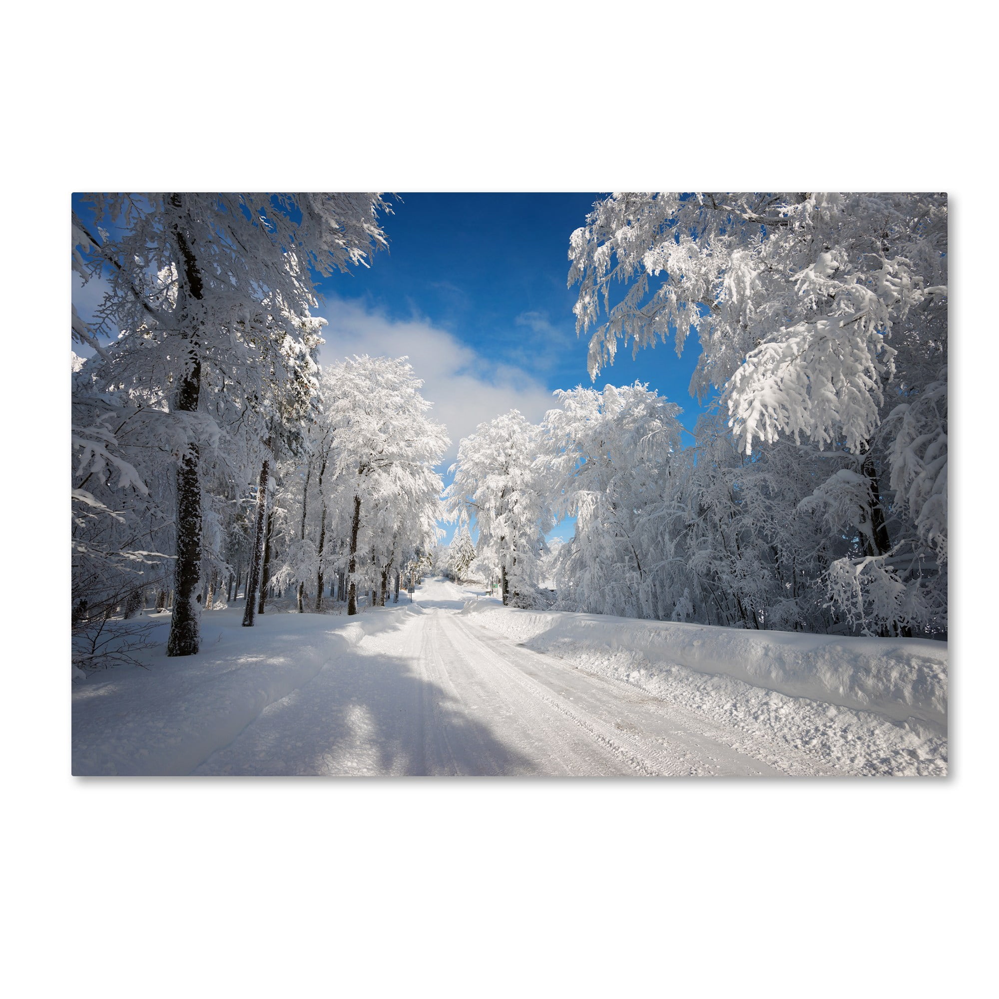 Trademark Fine Art "Going Nowhere" Canvas Art by Philippe Sainte-Laudy