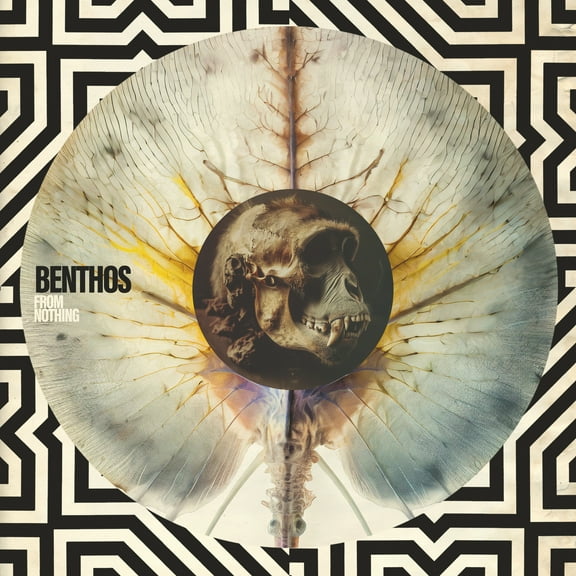 Benthos - FROM NOTHING - Music & Performance - CD