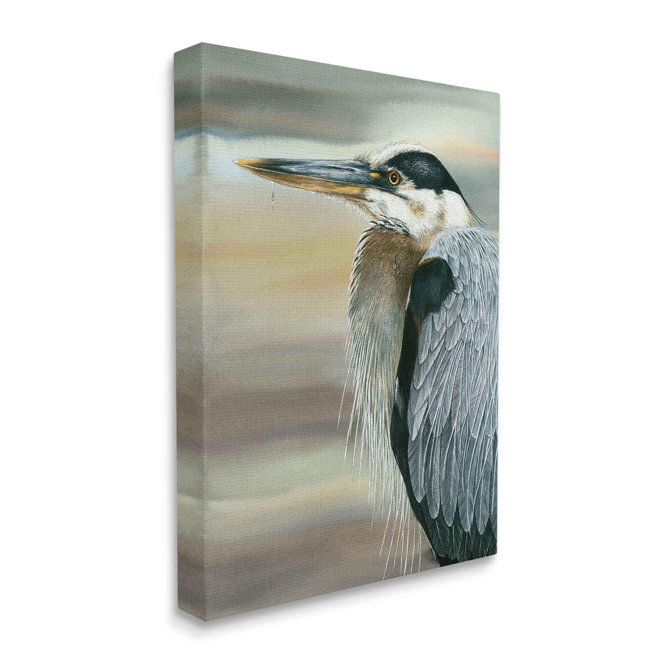Heron Bird Feather Portrait Animals & Insects Graphic Art Gallery Wrapped Canvas Print Wall Art