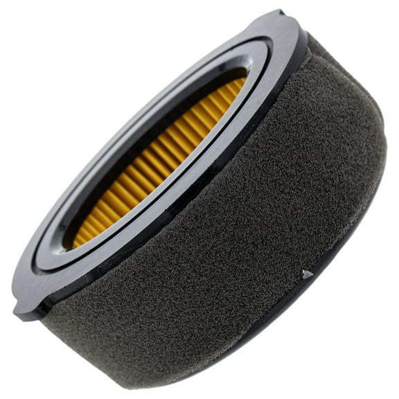 CUB CADET 951-10794 Air Cleaner Filter Kit FT24R RT35 RT45 RT65 VT100 Tillers