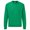 Heather Green, variant on Fruit of the Loom Adults  Classic Raglan Sweatshirt