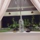 thumbnail image 2 of Mini Wine Bottle Stand Red Gold Individuality Acrylic Spilled Holder Desktop Rack Ornament, 2 of 5