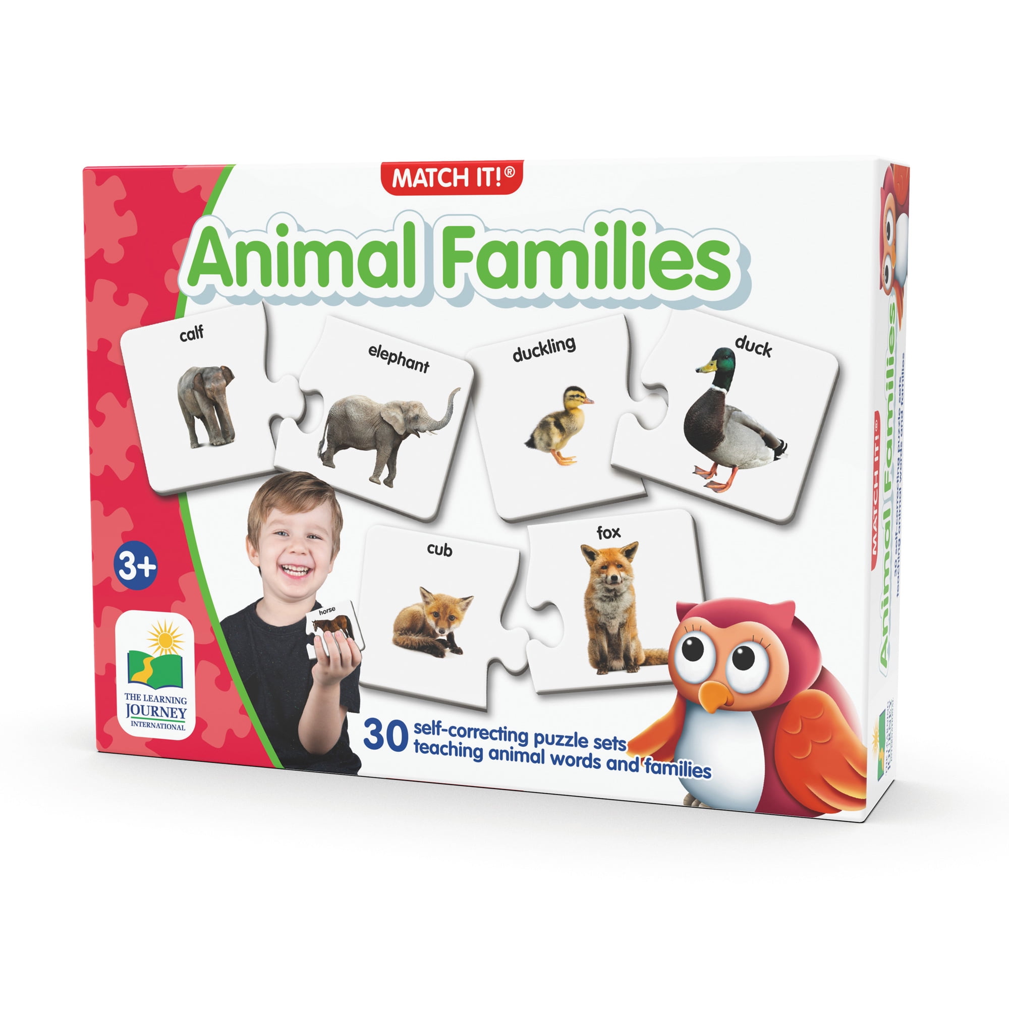 the learning journey animal families