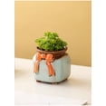 thumbnail image 4 of Ceramic Succulent Planter Succulent Plant Pot Ceramic Flower Planting Holder, 4 of 6
