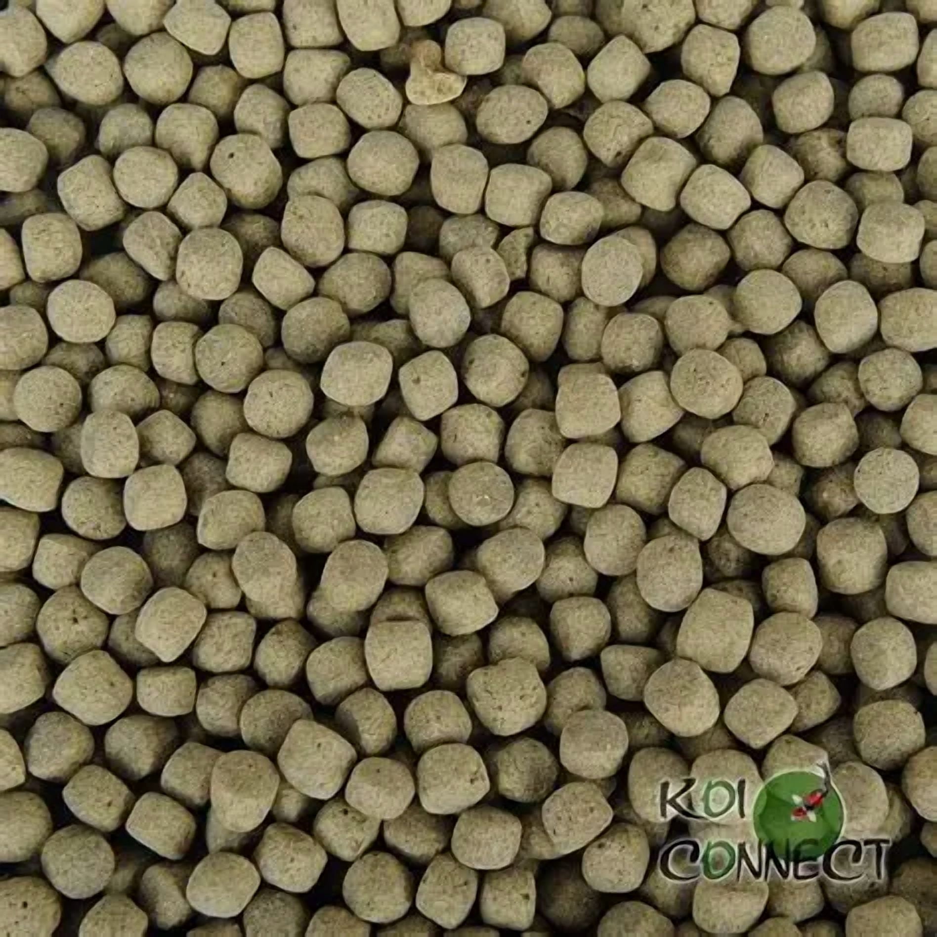 Aqua Master Hi Growth Koi Food (10 KG) - Large Pellets [SINKING]