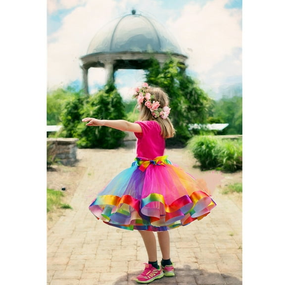 GOOHOCHY Rainbow Tulle Skirt Tutu Skirt Performence Skirt Dress Color Gradien Dress for Woman Girls (Size L)