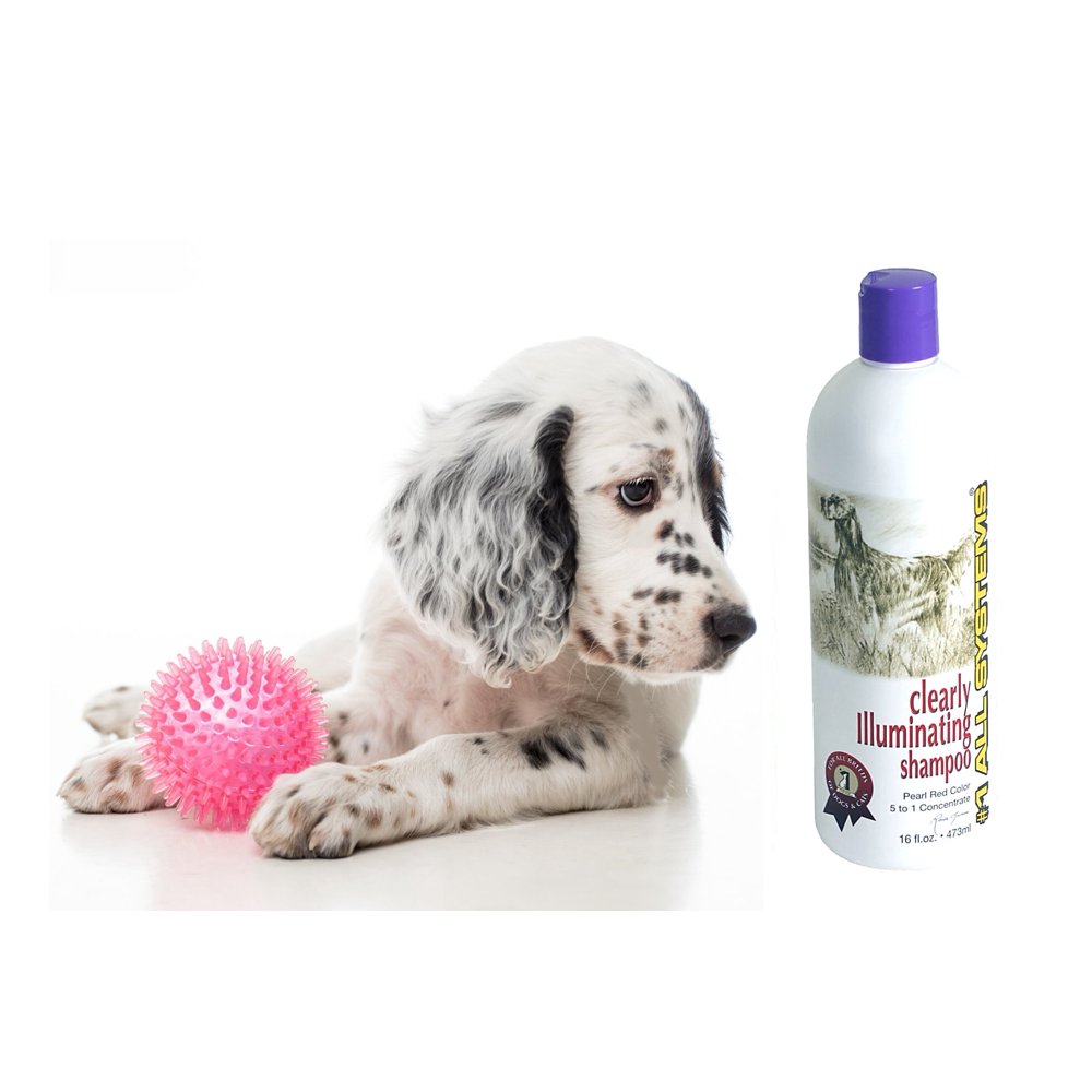 1 All Systems Clearly Illuminating Shampoo For Dogs & Cats . 16oz