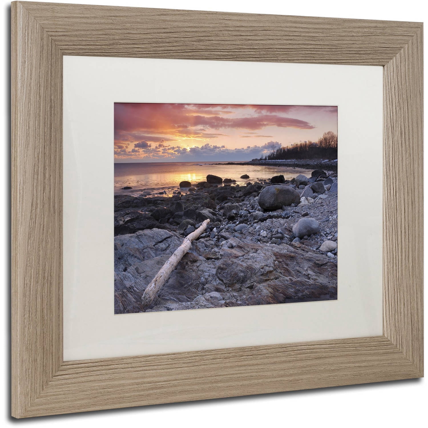 Trademark Fine Art "Pointer To The Sun" Canvas Art by Michael Blanchette Photography White Matte, Birch Frame
