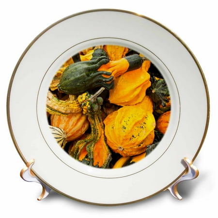 Germany Porcelain Mark - 3dRose Germany, Ludwigsburg, Bluhendes Barock Gardens, fall, squash - Porcelain Plate, 8-inch