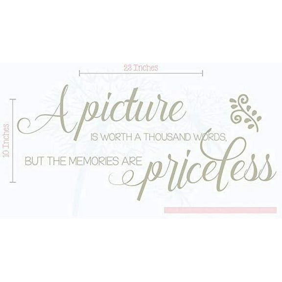 Picture is Worth Thousand Words, Memories Priceless Family Wall Decals Vinyl Lettering Stickers Quote, 23 X 10 , Warm Gray