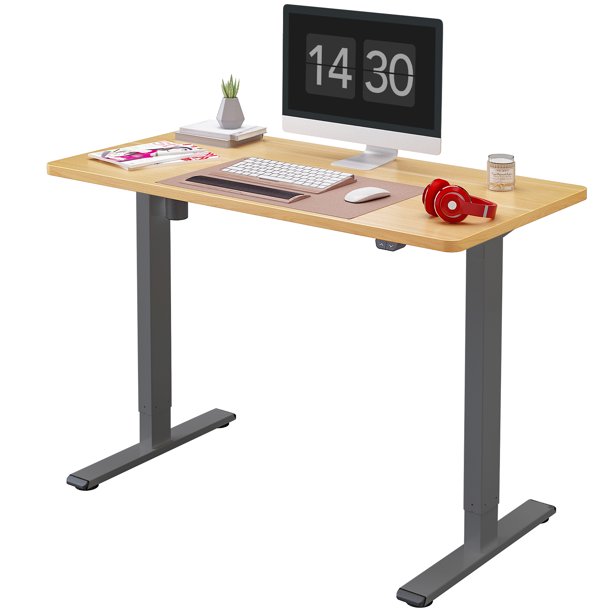FlexiSpot 48"x30" Ergonomic Home Office Electric Height Adjustable Standing Desk Gray and Maple