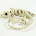 thumbnail image 2 of kjfeif Halloween Skeleton Geckos Prop Animal Bones Party Shop Decoration for Indoor Outdoor Halloween Decorations Party Props, Yard Patio Lawn Garden Props Decor, 2 of 8