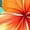#0395-Orange, variant on Womens Hawaiian Floral Print Tank Tops Double Spaghetti Strap V Neck Flowy Casual Summer Tunic