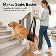thumbnail image 2 of Kabuer Dog Sling for Large Dogs Hind Leg Support - Dog Lift Harness for Back Legs, Arthritis, ACL Rehabilitation and Elderly Dog, 6" x 51", 2 of 6