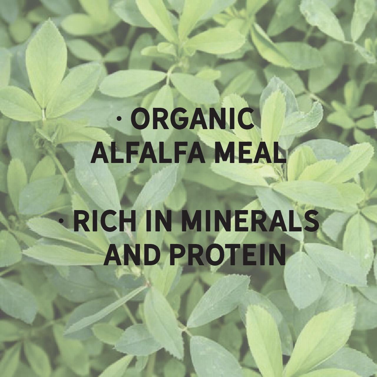 New Country Organics Alfalfa Meal Plant Fertilizer & Feed Supplement - Certified Organic & Non-GMO - Feed Grade - Suitable As Organic Feed Supplement & Organic Fertilizer - 50 Lbs