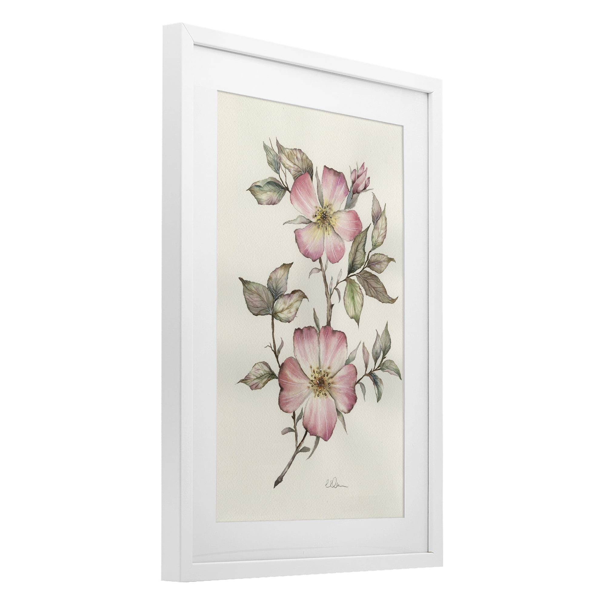 Stupell Industries Two Flowers Natural Study White Framed Print Under Glass, design by Cady Driver