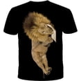 thumbnail image 2 of Xishao Playeras Hombre Camiseta Personalizada con Estampado De León para Hombre, Camiseta De Manga Corta con Estampado 3D, Camiseta Informal De Verano con Cuello Redondo De Hip-Hop para Hombre CAW-009 Xishao ropa, 2 of 2