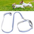thumbnail image 4 of Collares Reflectantes Para Perros Collares Con Hebilla Para Perros Juego De Collares Para Perros Al Aire Libre Collares Reflectantes De Nailon Para Perros Al Aire Libre Con Hebilla Fyydes Descripción de la referencia, 4 of 5