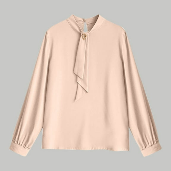 Dxzfnsa Womens Dressy Chiffon Blouse Business Work Casual Tie Neck Shirt Tops Long Sleeve Buttton Shirt