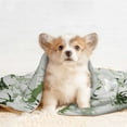 thumbnail image 4 of Pofeuu green plaid Moose tree Print Puppy Blanket,Dog Blankets,Pet Blanket Cozy Cat Blankets for Indoor Cats, Fuzzy Pet Blanket for Kitten Doggy Dog Blankets-Small, 4 of 8