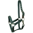 thumbnail image 4 of Gatsby Nylon Safety Breakaway Halter Foal Blue, 4 of 9