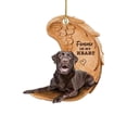 thumbnail image 6 of Sleeping Angel Dog Lover Funny Car Hanging Ornament Decor Pendant Bag U7H1 C6J0, 6 of 8