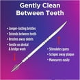 thumbnail image 2 of 2-in-1 interdental brush and toothpick, dental plaque remover, 2 of 4